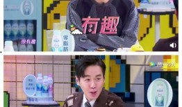 二辰爆料兄弟视频,视频内容深度解析