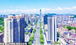 河南楼市爆料视频,揭秘房价波动背后的真相